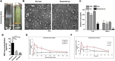 Biomedical applications of artificial exosomes for intranasal drug delivery